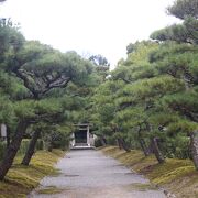 随心院から醍醐寺に行く途中で見つけました。