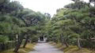 随心院から醍醐寺に行く途中で見つけました。