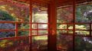 どうしてこんなに空いてるのか不思議過ぎる、素晴らしい場所です!