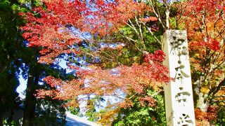 バスの本数が少ない