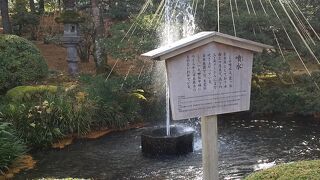 素晴らしい庭園