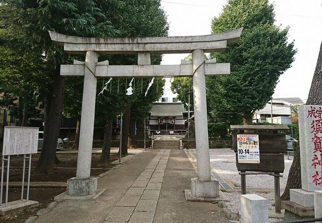 成宗須賀神社 クチコミ アクセス 営業時間 阿佐ヶ谷 フォートラベル 成宗須賀神社 クチコミ アクセス 営業時間 阿佐ヶ谷 フォートラベル