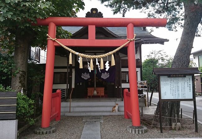 石仏、田の神、田のカンサア、農家の神、倉田辰彦作 石仏、田の神、田のカンサア、農家の神、倉田辰彦作