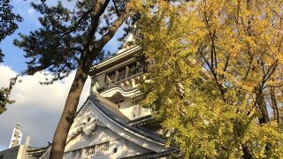 中の展示がユニークでした