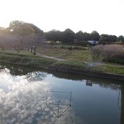 城沼とつながっている鶴生田川のほとりにあります。