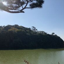 ビューポイントからの眺め