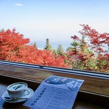 紅葉の先には琵琶湖が見えました