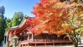 そばの紅葉が真っ盛りでした