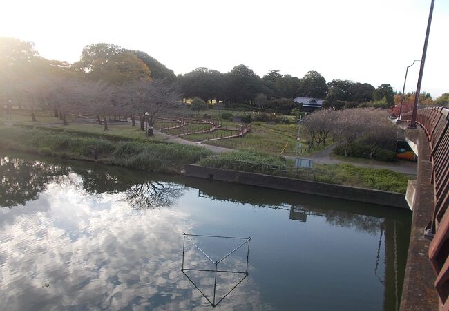 城沼とつながっている鶴生田川のほとりにあります。