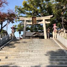 階段を上ると鳥居があります