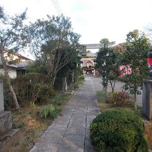 神社の様子です。