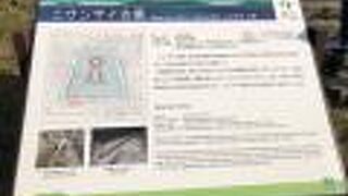 百舌鳥古墳群南東端にあるニサンザイ古墳