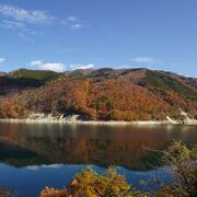 紅葉の時期も周囲の眺めを楽しめる！ （荘川桜） 