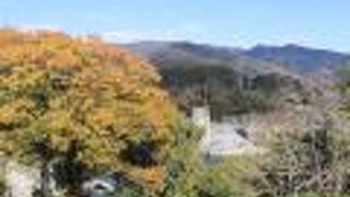 徳島本線の車窓から