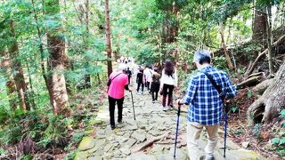 日本三大古道のひとつ　熊野古道　大門坂
