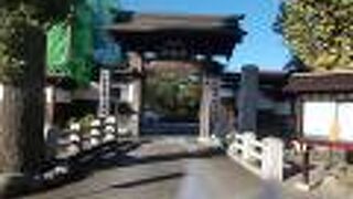 境内の「むかえる」が魅力的です。