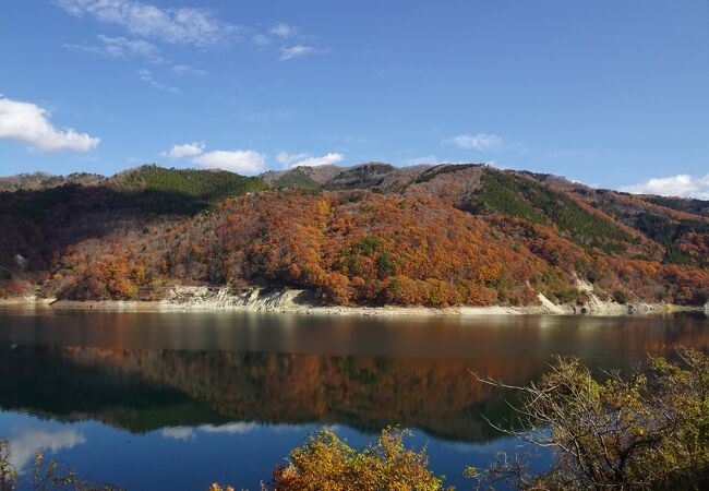 紅葉の時期も周囲の眺めを楽しめる！ （荘川桜） 