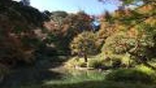 日本庭園が見事