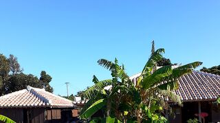 竹富島の原風景は見てるだけで癒されます。