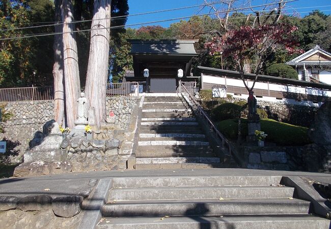 歴史のある寺です。