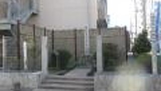 生き方濃く、短命だったのですね。