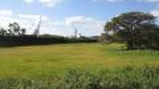 静かな草原です。