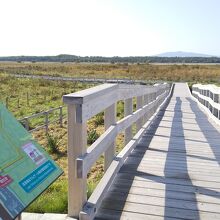 延々歩いて行くだけでものんびりします