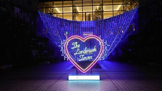 ドッグヤードガーデンできれいなイルミネーション。