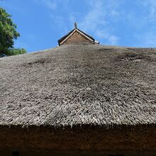 屋根も自然の造形美