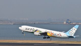 目の前の滑走路を迫力満点の飛行機が通過