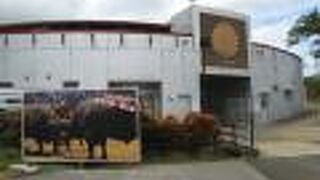 屋根付きの闘牛場