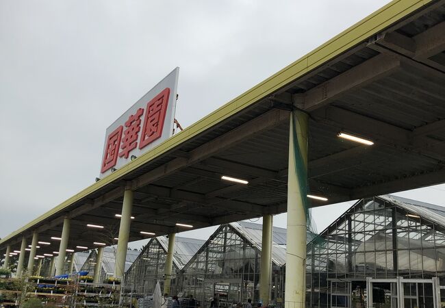 国華園 クチコミ アクセス 営業時間 和泉 泉大津 フォートラベル 国華園 クチコミ アクセス 営業時間 和泉 泉大津 フォートラベル