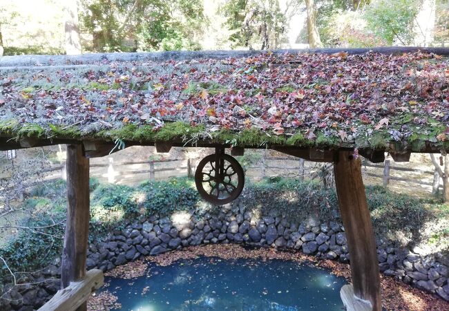 唐沢山城跡 クチコミ アクセス 営業時間 佐野 フォートラベル 唐沢山城跡 クチコミ アクセス 営業時間 佐野 フォートラベル