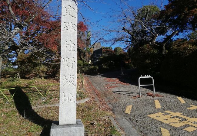 城山公園 クチコミ アクセス 営業時間 佐野 フォートラベル