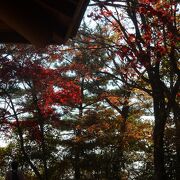 スカイツリーは見えなかったけど本堂の裏の紅葉が綺麗だった