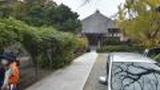 下田散策はガイドさんに頼りましょう。