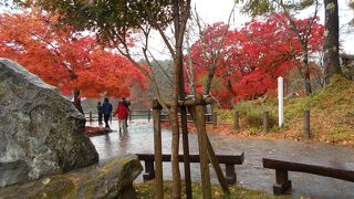 水の色が異なる不思議な沼