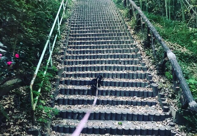 犬と散歩目的で訪れました