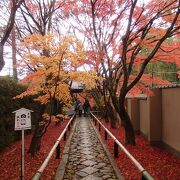 京都鷹峯紅葉狩り(5) 2019年　光悦寺