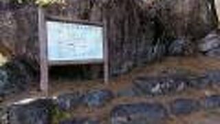 有名なミツバツツジの花見、４月中旬がベストシーズンです！