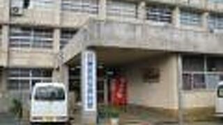 徳之島の歴史や自然がわかる