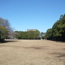 広い芝生の園内です。緑の樹々の森が潤いの環境を育てています。