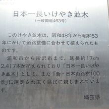 所沢航空記念公園の南には、日本一長いけやき並木があります。