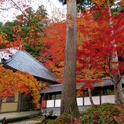 １２０段の石段を登りますが境内は平坦でした。紅葉がきれいです