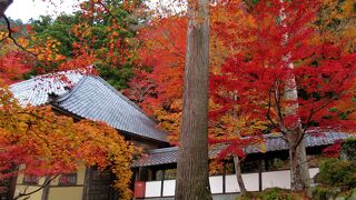 １２０段の石段を登りますが境内は平坦でした。紅葉がきれいです