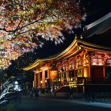 こちらの写真は2016年に撮りました。