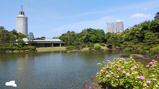 海の近くにある日本庭園