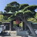 鎌倉にある花の寺