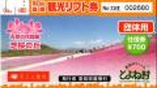 夏場は芝生で遊べます