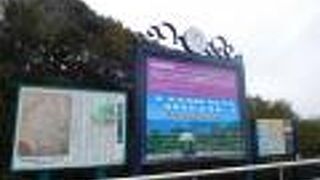 道端にあります